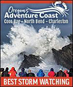 Breathtaking high panoramic beach views from oceanfront rooms, spacious family suites & fully equipped cottages. Known for gracious hospitality, the sparkling clean Sea Horse features a heated indoor pool, dramatic oceanfront spa, great whale watching, free deluxe continental breakfast, conference room, free casino shuttle & HBO. Fireplaces, private decks and spas are available in select rooms. Close to shops, golf, fishing & restaurants. Pets are welcome in select rooms. Senior discounts. Kids 18 and under stay free in their parent's room. Very attractive rates.
