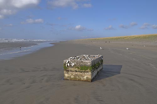 Oregon Coast Beach Cleanup Date Set for March 24 