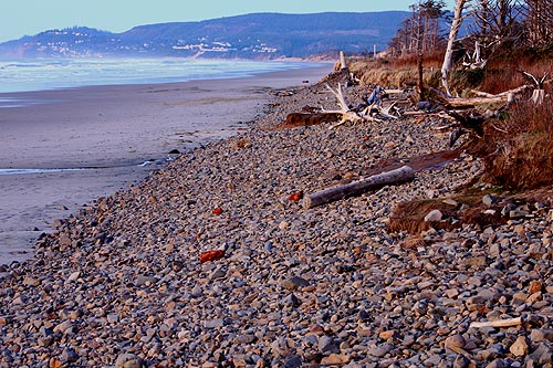 First Day Hikes: New Year's Walks Beyond the Oregon Coast 