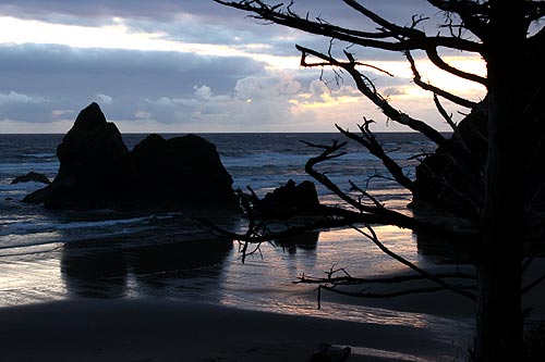 Photo: Arcadia Beach near Cannon Beach