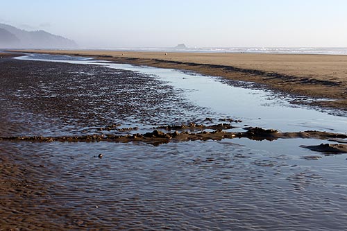 Oregon Coast Hotspot Near Cannon Beach Has a Different Face