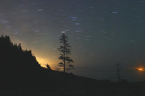 Cannon Beach's Ecola State Park at night