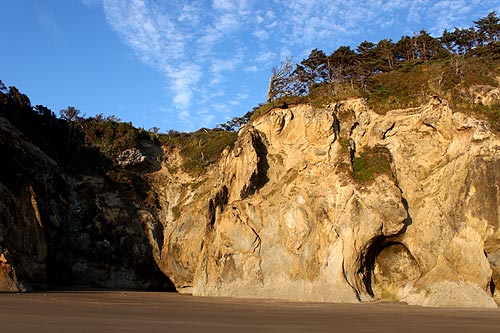 Caves and a cove at Hug Point