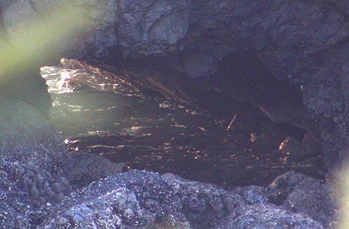 secret sea cave, Cannon Beach