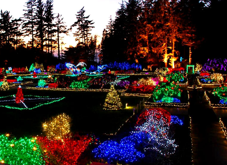 Shore Acres Holiday Lights is Back After Two-Year Shut Down on S. Oregon Coast