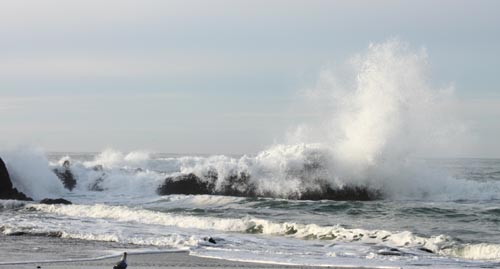 Oregon Coast High Wind Warning, Surf Advsory: 30-ft Waves