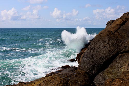 Five Gloriously Hidden, Secret Spots of Depoe Bay, Oregon Coast 