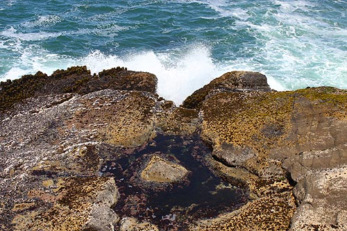 Last of Oregon Coast King Tides Tomorrow, Your Help Needed