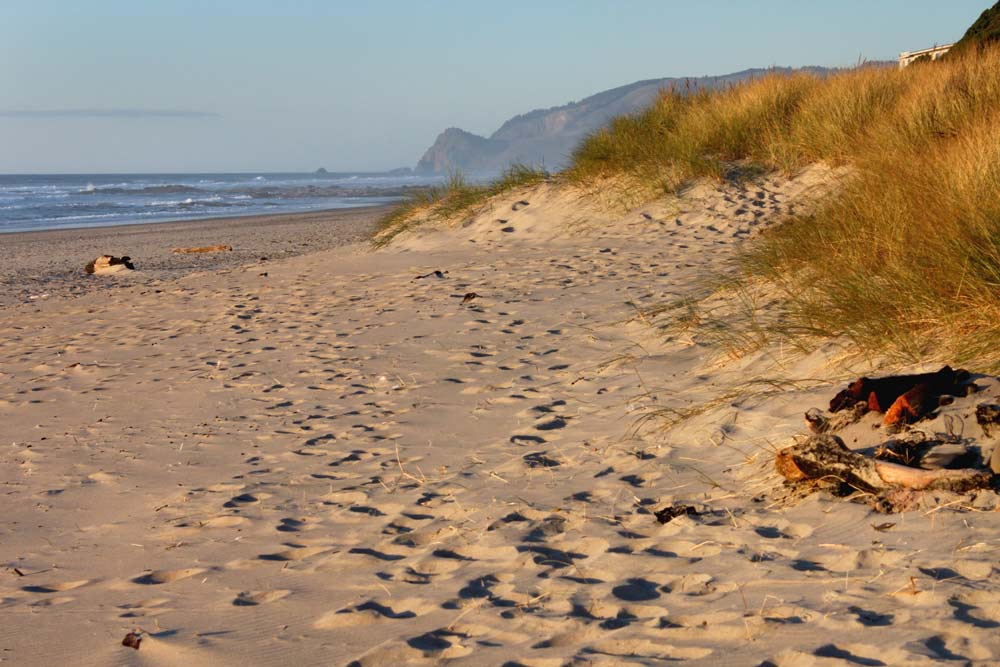 One 'Crappy' Report on Oregon Coast Beaches and Frequency of Contaniments
