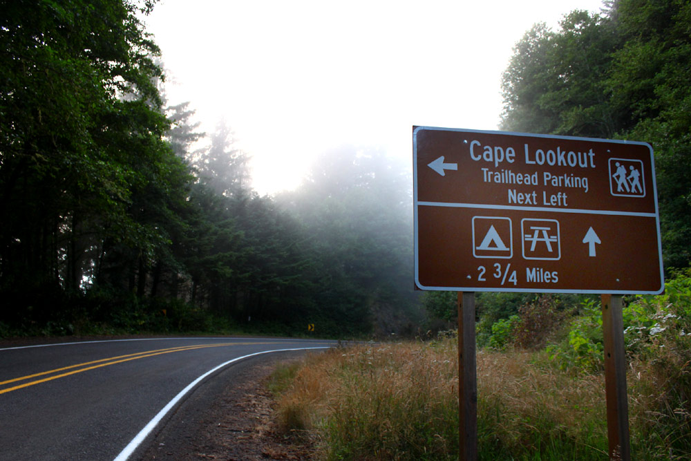 Misty Moments Above the Oregon Coast: Cape Lookout Trailhead