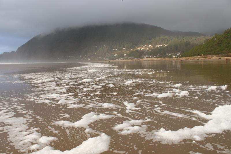 The Giant Misconception About Oregon Coast Sea Foam: Actually Awesome