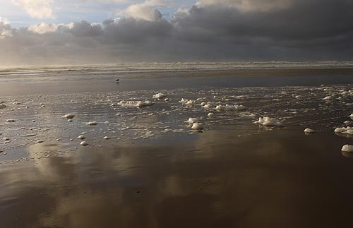 Oregon Coast Waves Gone Wild: the Fun of Crazed Foam 