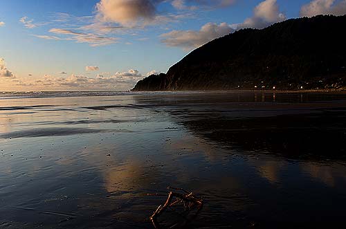 Photo: Manzanita. This area will host the plant sale on April 30