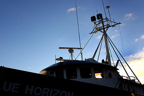 Photo: fishing boats at Newport's Yaquina Bay