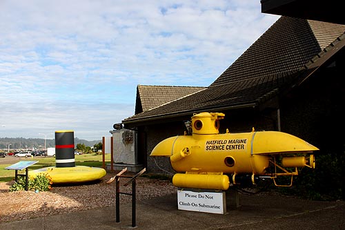 Oregon Coast's Popular Hatfield Marine Center Reopens with Science Festival