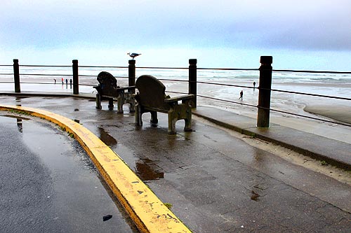 Oregon Coast Advisories/Bans Lifted in Two Areas: Clamming, Newport's Nye Beach