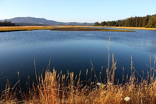 whalen island park