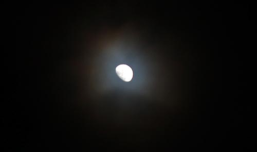 moon halo portland