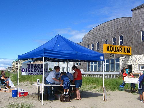 Seaside Beach Discovery Program