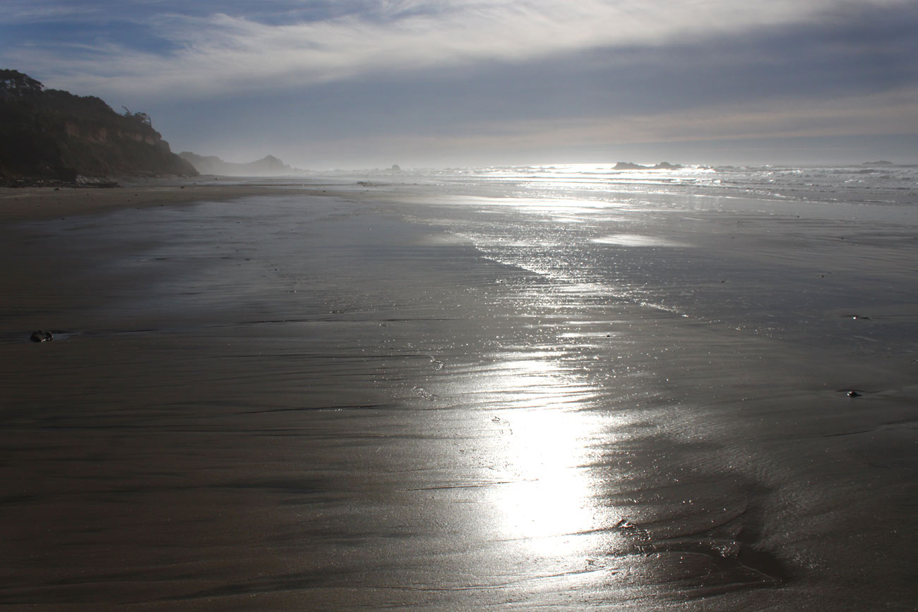 Cleaning the Coast: Seal Rock Advisory Lifted, Oregon Beach Cleanups Coming 