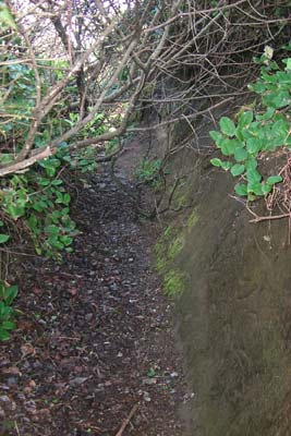 lincoln city, oregon coast trail