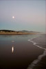 Dusk colors of Manzanita