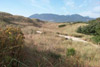 Nehalem Bay