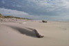 Nehalem Bay State Park