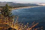 Manzanita deep blue viewpoints