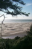 Agate Beach Dunes