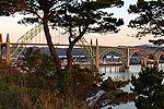 Overlooking Yaquina Bay and Its Park