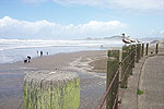 Nye Beach Turnaround, Landmark of Newport