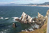 Birding at Yaquina Head