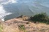 Looking down on Yaquina Head, Newport