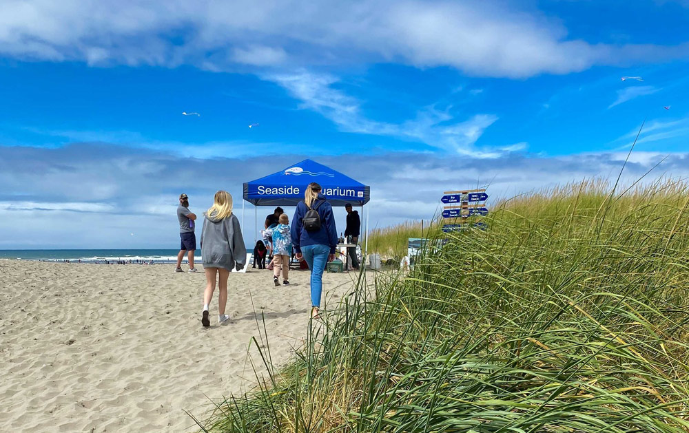 Seaside’s Beach Discovery Days Reveal the Jaw-Dropping, Deeper Oregon Coast