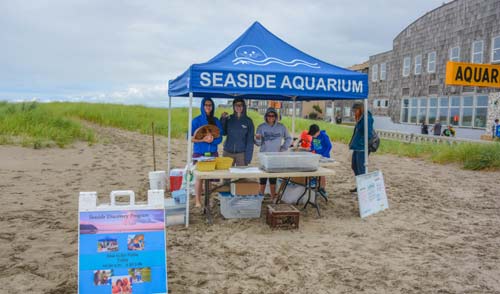 Seaside Beach Discovery Days Return to N. Oregon Coast 