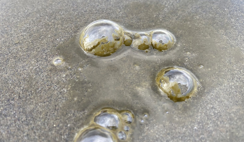 Weird, Brown Waves Return to N. Oregon Coast - It's a Good Thing and What Else It Means