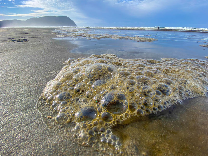 Brown Waves Return to N. Oregon Coast. Could It Mean Glowing Waves?