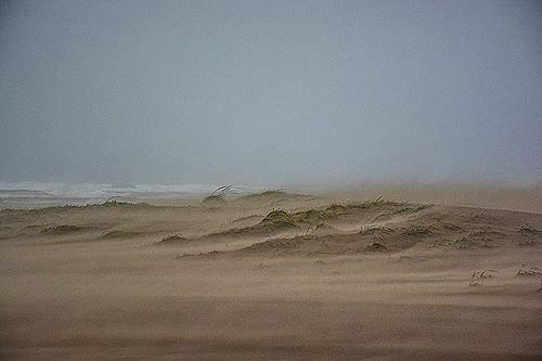 Photo courtesy Tiffany Boothe, Seaside Aquarium: Sunday brought in a few heavy wind moments in Seaside