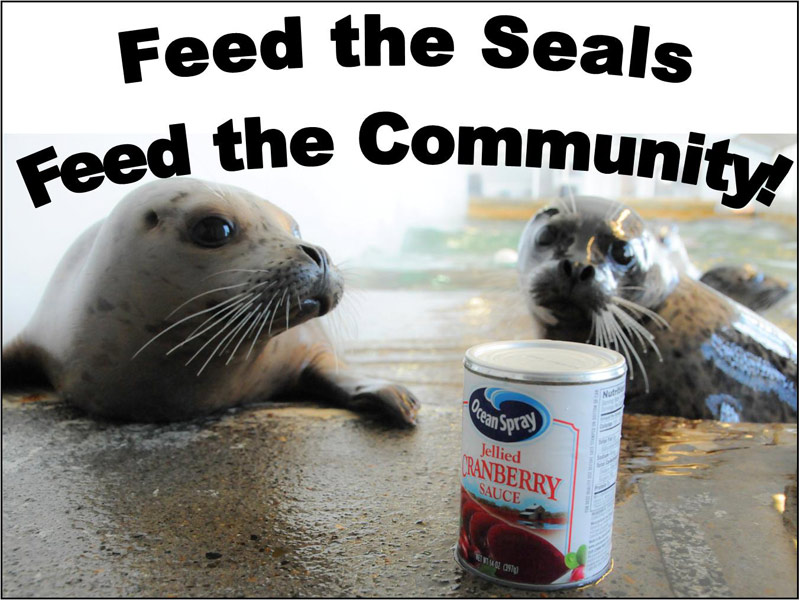 Attending Seaside Aquarium This Month Helps Feed the Hungry on Oregon Coast - Video 