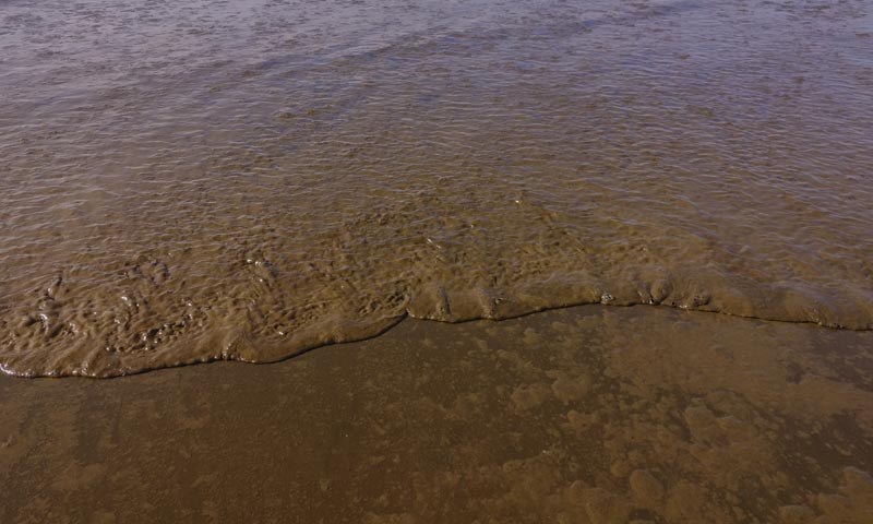 Freaky, Gooey Brown Waves Again on Washington, Oregon Coast