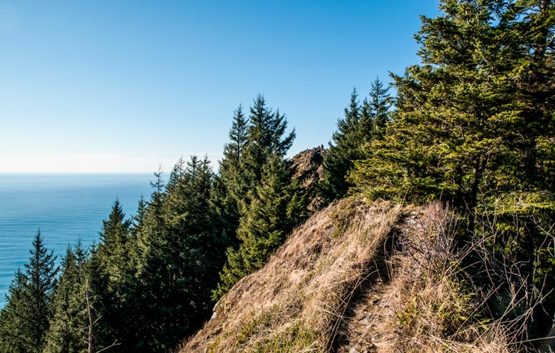 Hiking Neahkahnie Mountain Complete Guide: Manzanita's Marvel, Oregon Coast's Landmark - Views, Insider Tips