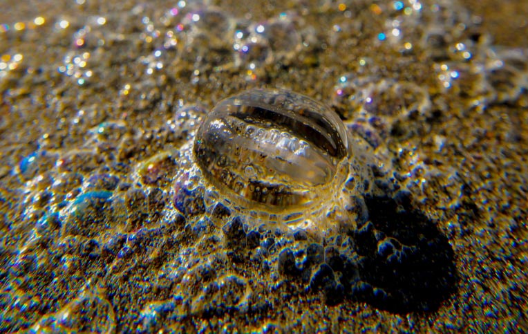 Some Surf Bubbles On Oregon / Washington Coast Not What They Seem: Surprising Science 