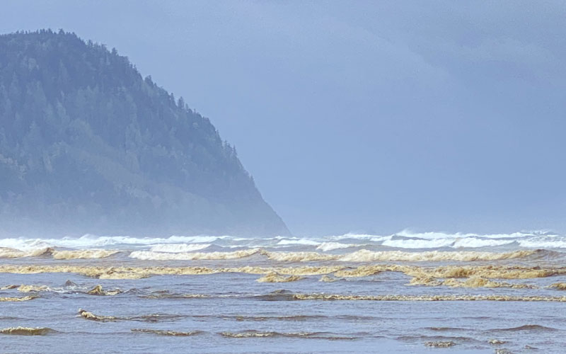 Ooey, Gooey Brown Waves Are Back on N. Oregon Coast (Video) 