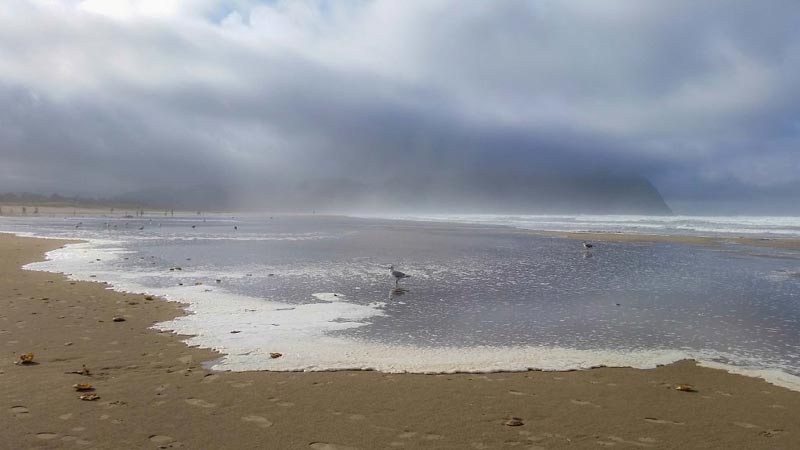 Sneaker Waves More Common on Oregon / Washington Coast Than Rest of U.S.