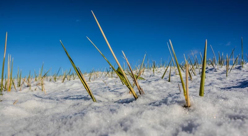 Oregon Coast Gets Sneakers Waves; Snow in Passes, Portland, Valley