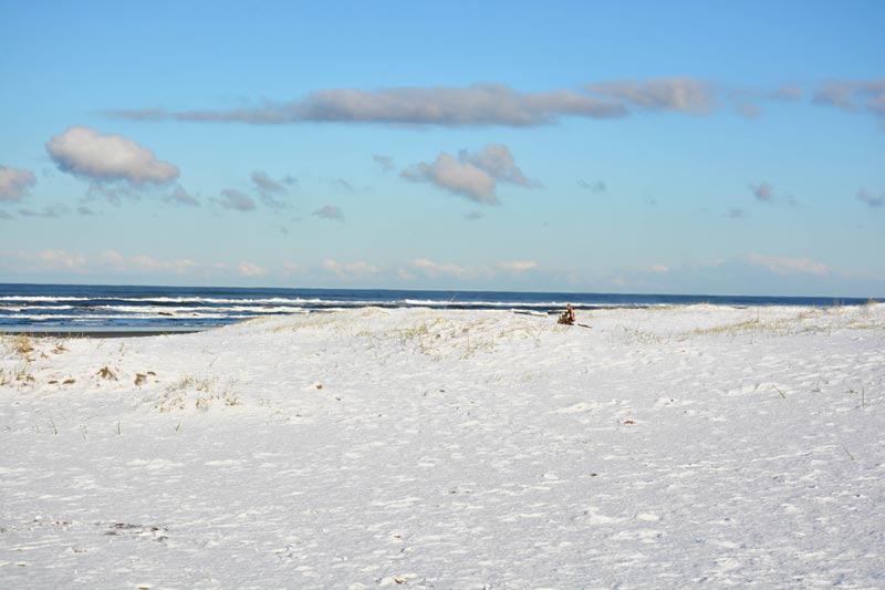 Will It Snow Near Oregon Coast This Weekend | Some Beach Hazards