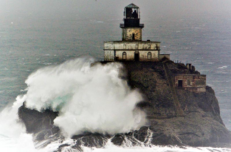 Three Winter Wowers of the Washington / Oregon Coastline 