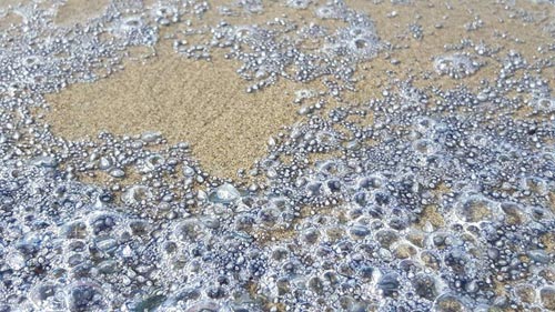 A Proliferation of Spectacularly Puzzling Stuff Washing up on Oregon Coast