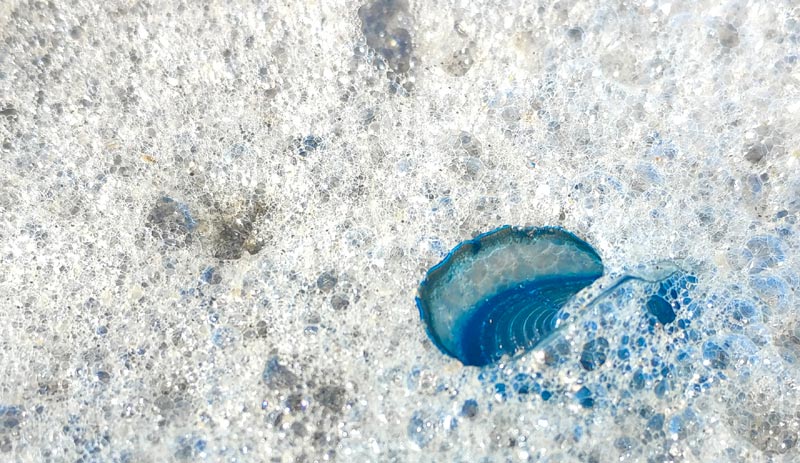 Colorful Blobs Again on Oregon Coast, Bringing Some Surprises 